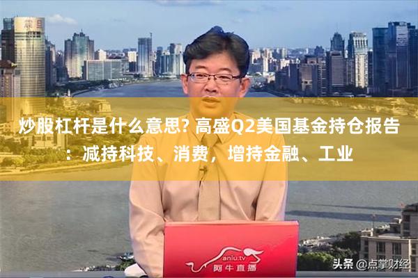 炒股杠杆是什么意思? 高盛Q2美国基金持仓报告：减持科技、消费，增持金融、工业