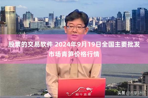 股票的交易软件 2024年9月19日全国主要批发市场青笋价格行情