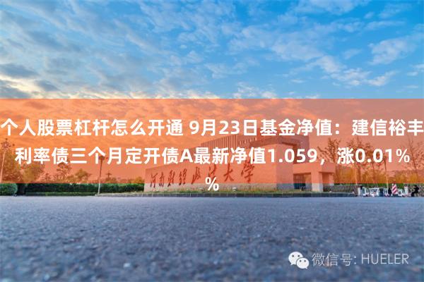 个人股票杠杆怎么开通 9月23日基金净值：建信裕丰利率债三个月定开债A最新净值1.059，涨0.01%