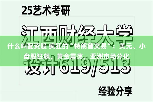 什么叫配资股 疯狂的“特朗普交易”：美元、小盘股狂飙，黄金震荡，亚洲市场分化