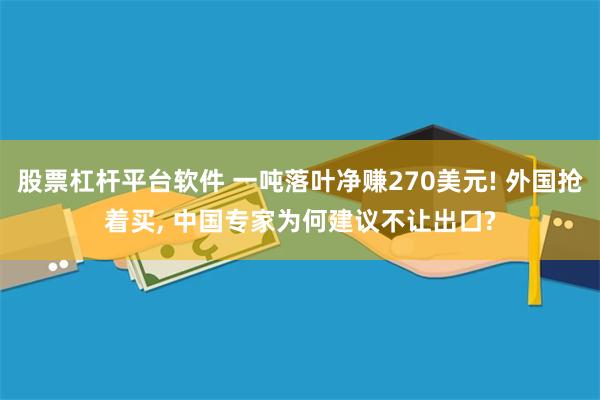 股票杠杆平台软件 一吨落叶净赚270美元! 外国抢着买, 中国专家为何建议不让出口?