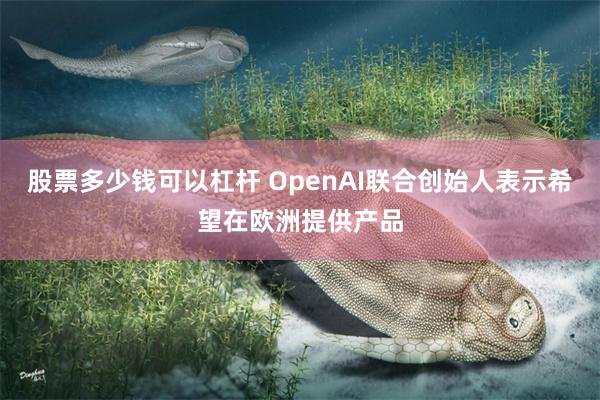 股票多少钱可以杠杆 OpenAI联合创始人表示希望在欧洲提供产品