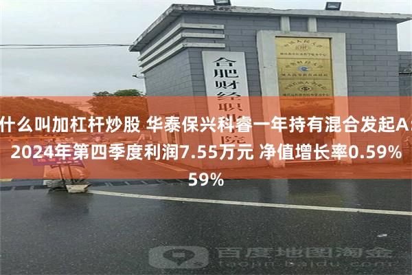 什么叫加杠杆炒股 华泰保兴科睿一年持有混合发起A：2024年第四季度利润7.55万元 净值增长率0.59%