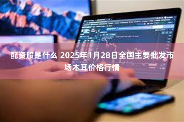 配资股是什么 2025年1月28日全国主要批发市场木耳价格行情