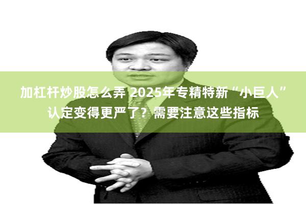 加杠杆炒股怎么弄 2025年专精特新“小巨人”认定变得更严了？需要注意这些指标